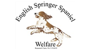 English Springer Spaniel Welfare