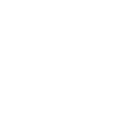 (Shield and Padlock Icon)